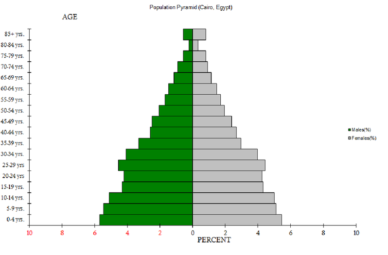 Population Pyramid Cairo Sustainability